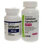 Cephalexin